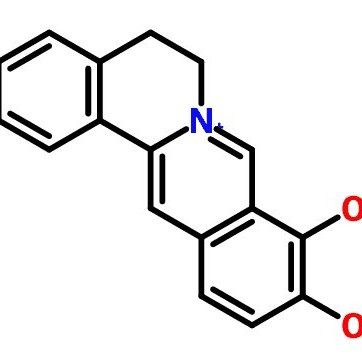 Berberine