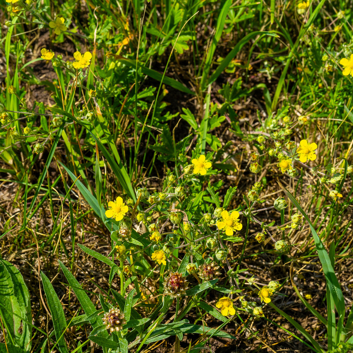 narva_highway_near_paekalda-19